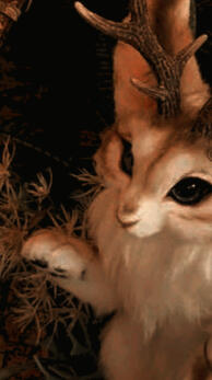 The Baemk' - La'a of Chaos © cocoon_haruka